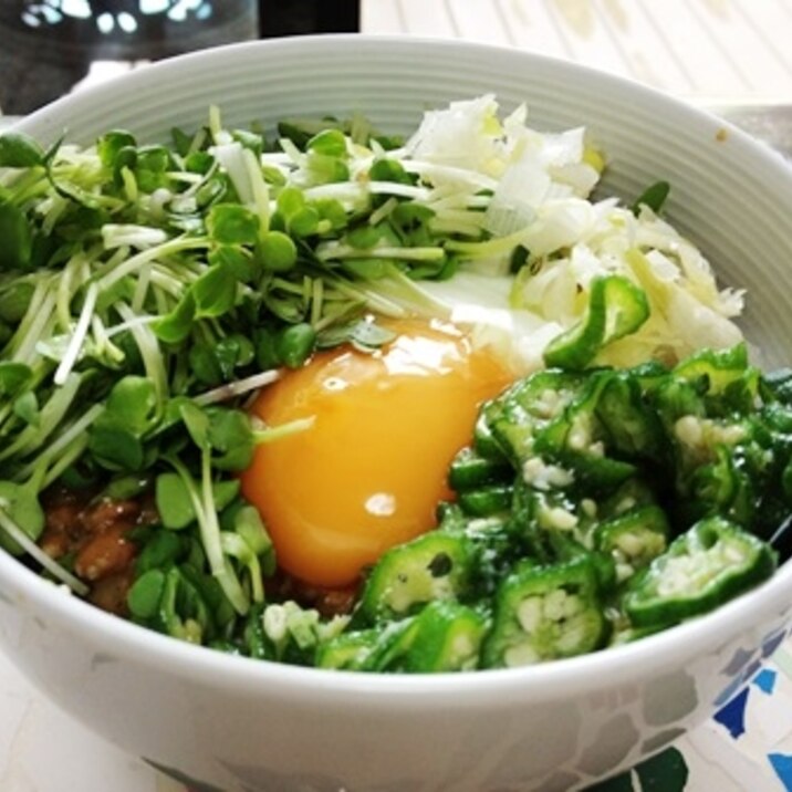 お野菜たっぷり納豆オクラねばねば丼